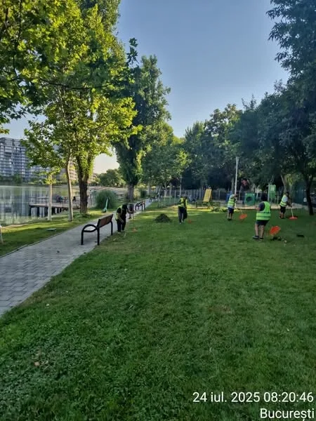 Împreună pentru un Sector 2 mai curat, mai verde și mai bine îngrijit! Raport de activitate – 24 iulie 2025