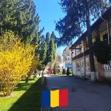 Impozitele și taxele locale restante fără majorări și penalități în Drăgănești-Olt