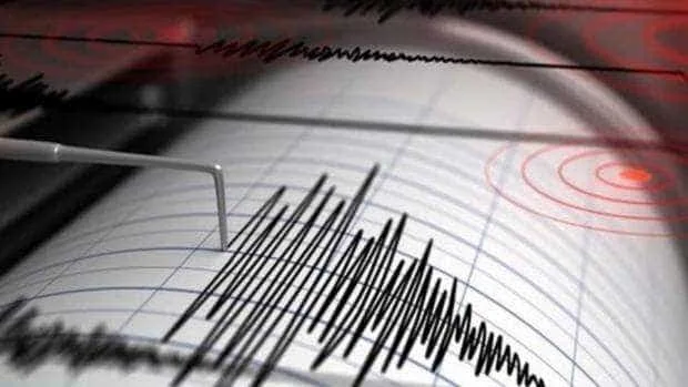 Vrancea se zguduie: Cutremur de 4,4 grade, resimțit până la Brașov și Bacău