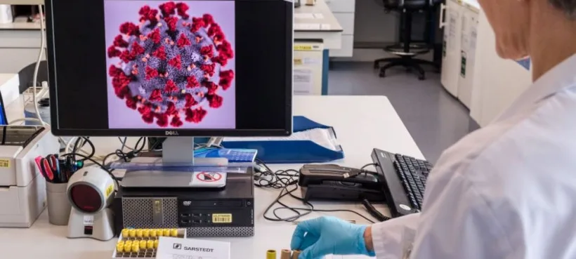 Oamenii de știință au descoperit șase tipuri noi de coronavirus printre lilieci!
