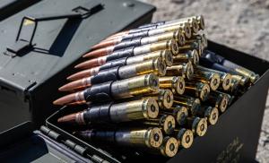 Discuții pentru construirea unei fabrici de pulberi &icirc;n Rom&acirc;nia