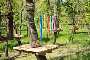 Consiliul Județean Galați amenajează un parc de aventură spectaculos &icirc;n Pădurea G&acirc;rboavele