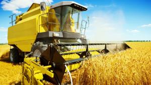 România, pe primul loc în Uniunea Europeană la exportul de cereale