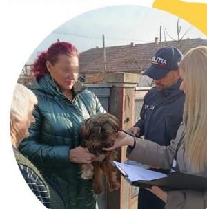 CJ Cluj continuă extinderea Programului de microcipare, &icirc;nregistrare și sterilizare a c&acirc;inilor