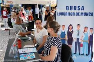 Circa 500 de locuri de muncă disponibile la Bursa Locurilor de Muncă în Bacău