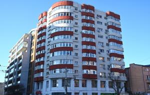 Brazii de Crăciun se ridică gratuit &icirc;n Sectorul 1!