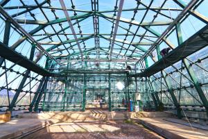 Seră de plante exotice spectaculoasă, la Galați. Costel Fotea: În interior, va exista un lift care va urca până la aproape 20 de metri