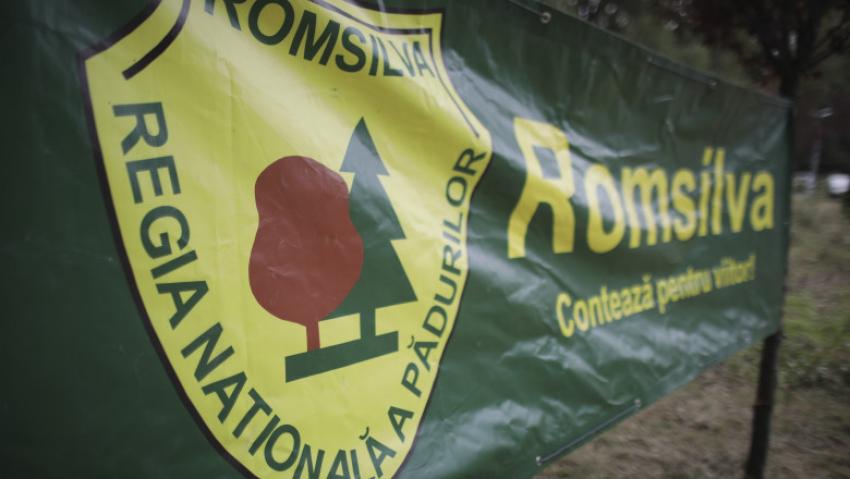 O decizie prin care se retrocedau 43.227 de hectare de păduri a fost anulată