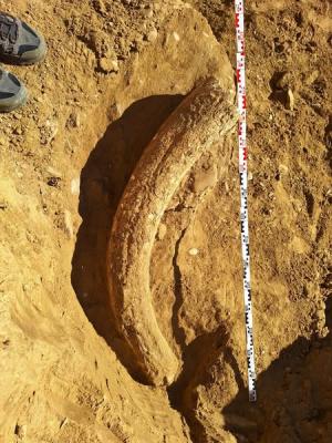 Descoperire unicat, din preistorie, în Buzăul de azi