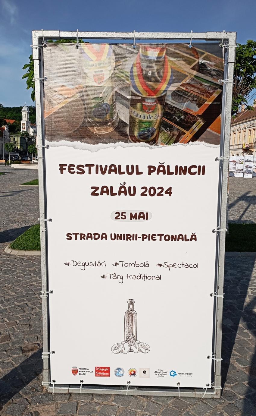 Prima ediţie a Festivalului Pălincii