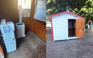 Administrația Tg.Jiu, implicată în ameliorarea efectelor caniculei în municipiu