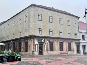 A început reabilitarea Bibliotecii Județene din Timiș