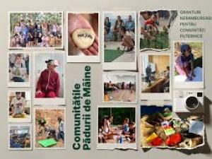 Comunitățile Pădurii de M&acirc;ine