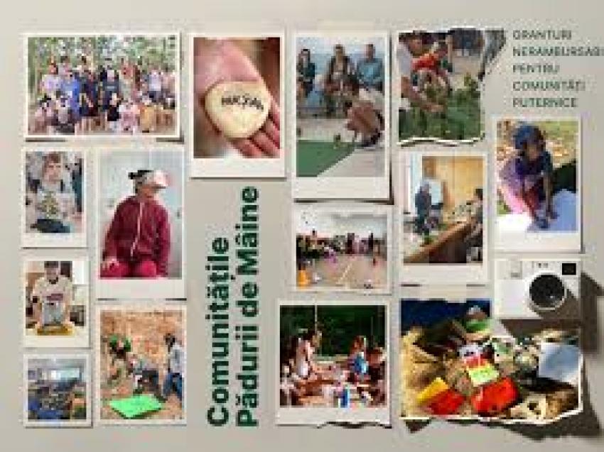 Comunitățile Pădurii de Mâine