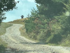 Drumul Mănăstirilor - Drumul Sihăstriilor