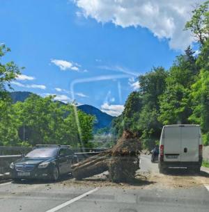 Rute ocolitoare c&acirc;t timp este &icirc;nchisă Valea Oltului