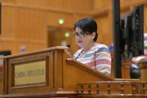 Deputatul Viorica Sandu:&bdquo;Reglementarea pieţei energiei &icirc;nseamnă preţuri administrate de stat pe tot lanţul, de la producător p&acirc;nă la distribuitor&rdquo;