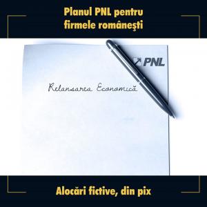 "PNL a administrat prost pandemia și a omor&acirc;t economia!"- acuză PSD