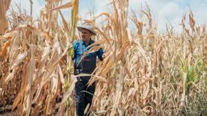 Noi investiții de interes național aprobate de Guvern