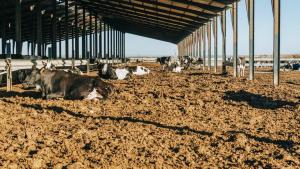 Ministerul Mediului a dat startul finanțării pentru sisteme de colectare și valorificare a gunoiului de grajd