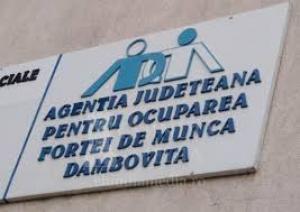 Aproape 400 de locuri de muncă vacante prin AJOFM Dâmbovița, în ianuarie