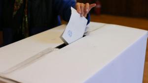 Alegerile europarlamentare. Statul român va organiza peste 900 de secții de votare pentru românii din străinătate