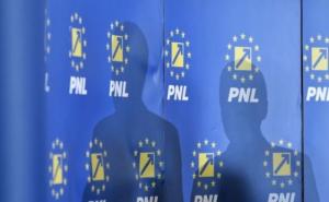 PNL nu mai vrea plafonarea plăților cash