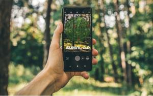 Programul care monitorizează transporturile de lemn din România va fi ajutat de inteligența artificială