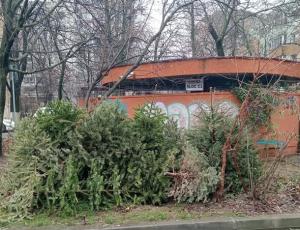 Paul Moldovan: Ridicăm brazii de pe străzi, din jurul ghenelor, de la cele 12 puncte de colectare