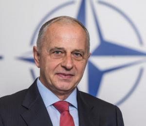 Secretarul general adjunct al NATO: Veghem la securitatea aliaților noștri