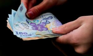 INS anunță că rata șomajului a crescut în luna februarie în România