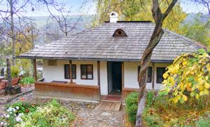 Scandalul iscat de restaurarea bojdeucii lui Ion Creangă din Iași ajunge în Parlament