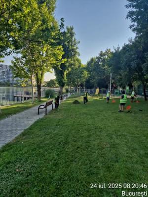 Împreună pentru un Sector 2 mai curat, mai verde și mai bine îngrijit! Raport de activitate – 24 iulie 2025