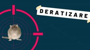 Deratizare generală în Adjud