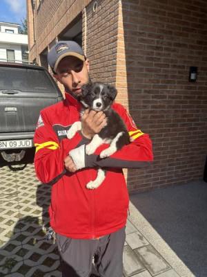 RONA - cel mai tânăr membru al echipei Salvamont Bistrița-Năsăud!