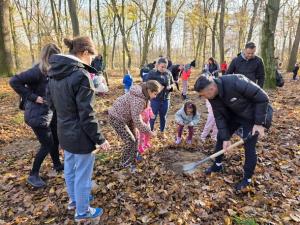 Noi acțiuni de plantare în Bihor  în weekend