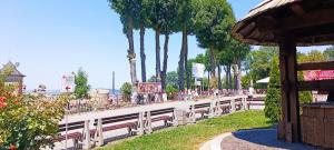 Măsuri anticaniculă în Suceava