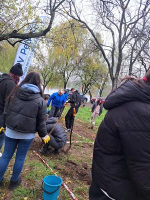 „Un București mai verde”- campanie de împădurire a parcurilor bucureștene