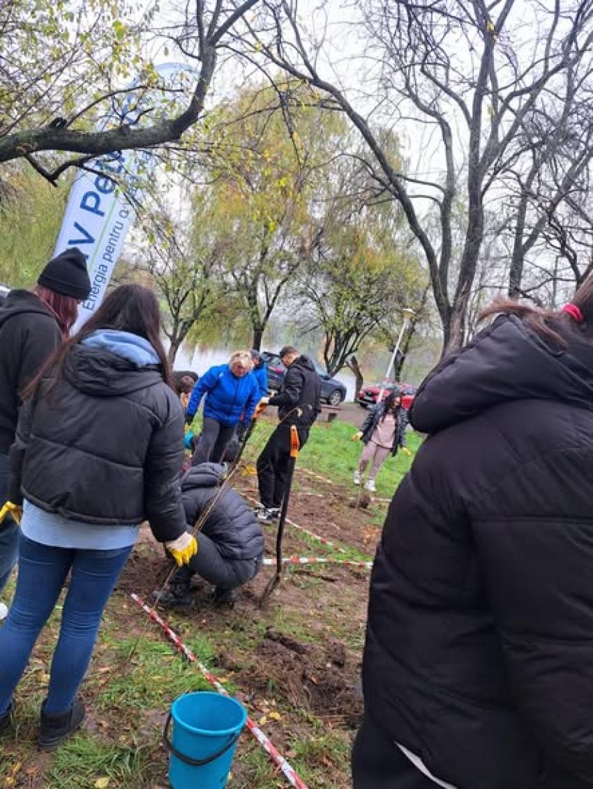 „Un București mai verde”- campanie de împădurire a parcurilor bucureștene
