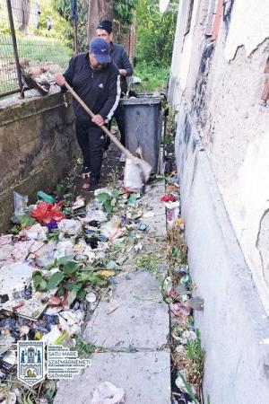 Curățenie de primăvară în orașele din Satu Mare