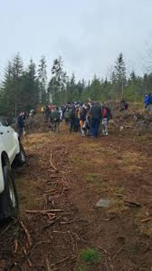 Campania &quot;Copaci pentru viaţă&quot;în județul Harghita